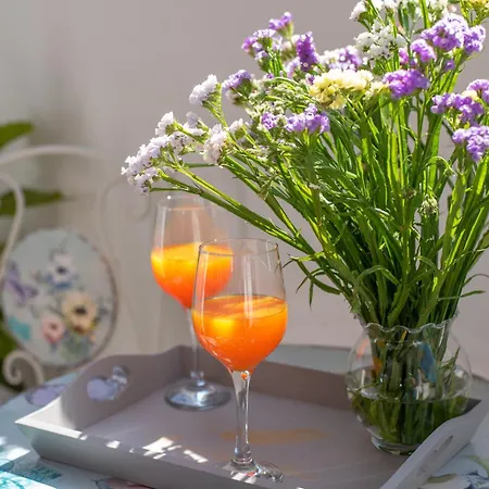 Oasis Of Peace And Relaxation Ii. Apartment